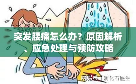 突发腰痛怎么办？原因解析、应急处理与预防攻略