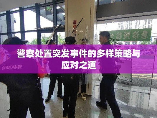 警察处置突发事件的多样策略与应对之道