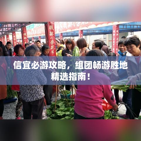 信宜必游攻略，组团畅游胜地精选指南！