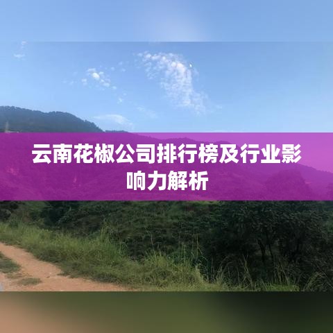 云南花椒公司排行榜及行业影响力解析
