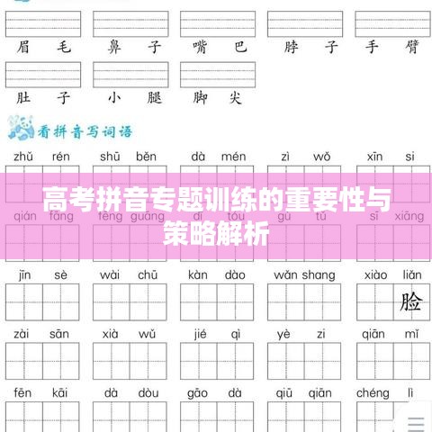 高考拼音专题训练的重要性与策略解析
