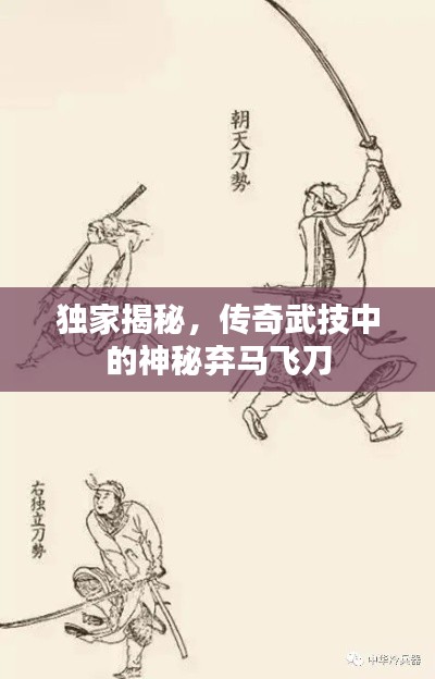 独家揭秘，传奇武技中的神秘弃马飞刀