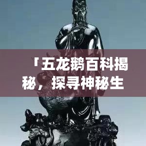 「五龙鹅百科揭秘，探寻神秘生物的魅力之旅」