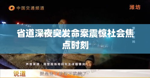 省道深夜突发命案震惊社会焦点时刻
