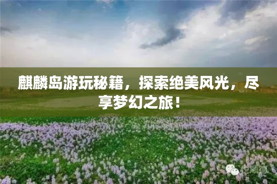 麒麟岛游玩秘籍，探索绝美风光，尽享梦幻之旅！