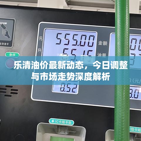 乐清油价最新动态，今日调整与市场走势深度解析