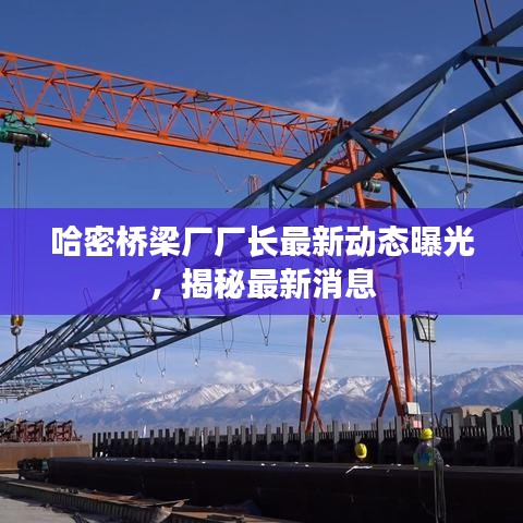 哈密桥梁厂厂长最新动态曝光，揭秘最新消息