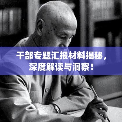 干部专题汇报材料揭秘，深度解读与洞察！