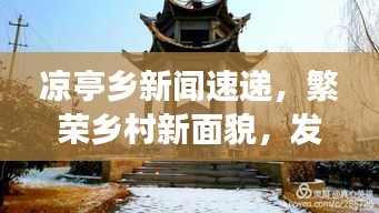 凉亭乡新闻速递，繁荣乡村新面貌，发展成果瞩目