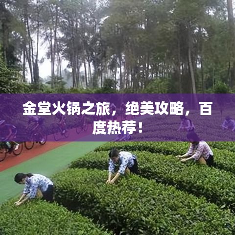 金堂火锅之旅，绝美攻略，百度热荐！