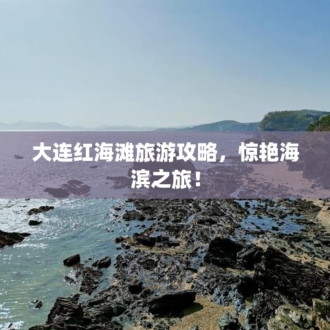 大连红海滩旅游攻略，惊艳海滨之旅！