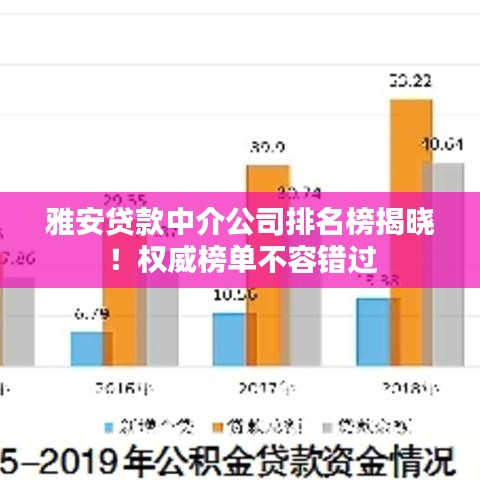 雅安贷款中介公司排名榜揭晓！权威榜单不容错过