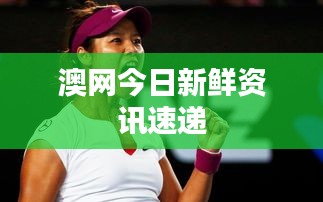 澳网今日新鲜资讯速递