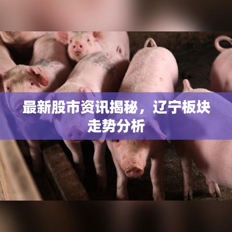 最新股市资讯揭秘，辽宁板块走势分析