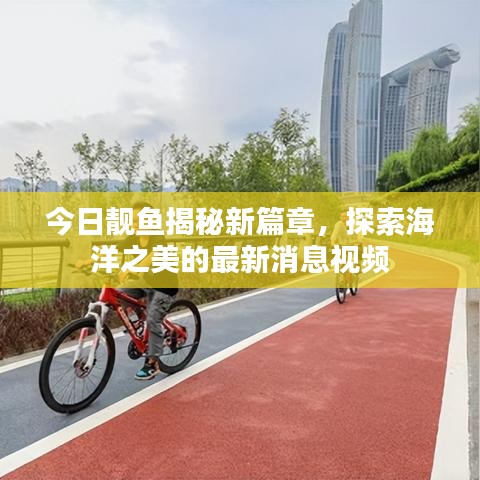 今日靓鱼揭秘新篇章，探索海洋之美的最新消息视频