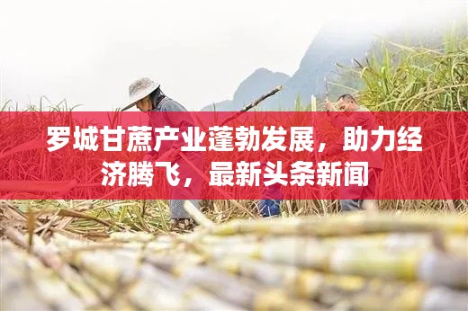 罗城甘蔗产业蓬勃发展，助力经济腾飞，最新头条新闻