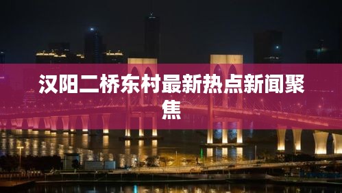 汉阳二桥东村最新热点新闻聚焦