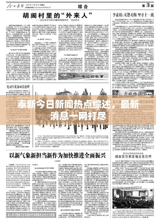 奉新今日新闻热点综述，最新消息一网打尽