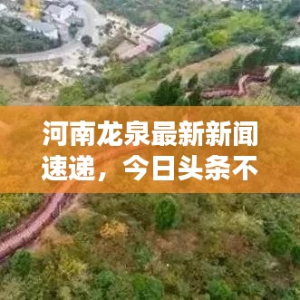 河南龙泉最新新闻速递，今日头条不容错过！