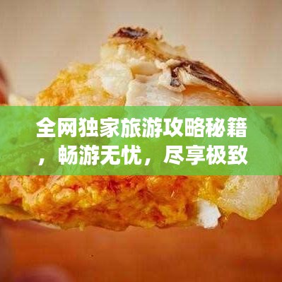 全网独家旅游攻略秘籍，畅游无忧，尽享极致旅行乐趣！