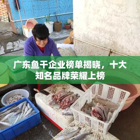 广东鱼干企业榜单揭晓，十大知名品牌荣耀上榜