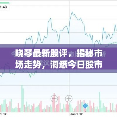 晓琴最新股评，揭秘市场走势，洞悉今日股市动态