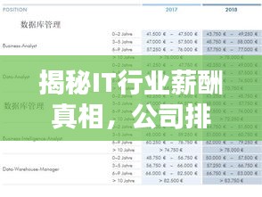揭秘IT行业薪酬真相，公司排名大揭秘！