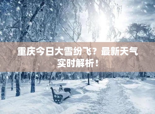 重庆今日大雪纷飞？最新天气实时解析！