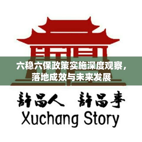 六稳六保政策实施深度观察，落地成效与未来发展