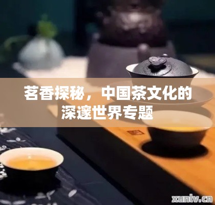 茗香探秘，中国茶文化的深邃世界专题