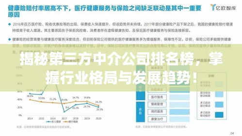 揭秘第三方中介公司排名榜，掌握行业格局与发展趋势！