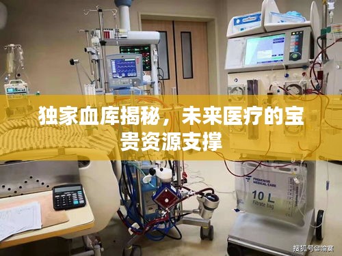 独家血库揭秘，未来医疗的宝贵资源支撑
