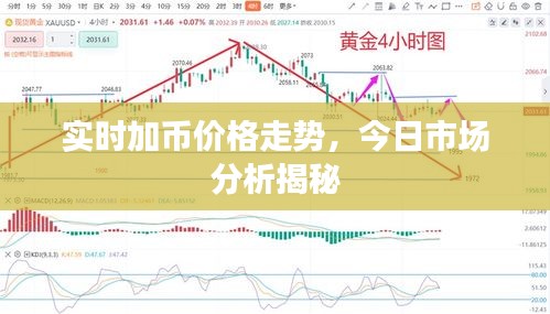实时加币价格走势，今日市场分析揭秘