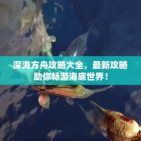 深海方舟攻略大全，最新攻略助你畅游海底世界！