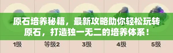原石培养秘籍，最新攻略助你轻松玩转原石，打造独一无二的培养体系！