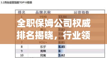 全职保姆公司权威排名揭晓，行业领军者的成功秘诀大揭秘