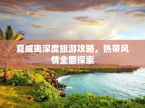 夏威夷深度旅游攻略，热带风情全面探索