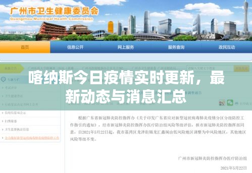 喀纳斯今日疫情实时更新，最新动态与消息汇总