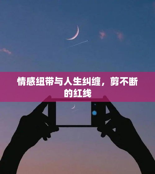 情感纽带与人生纠缠，剪不断的红线
