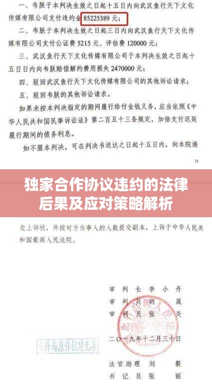 独家合作协议违约的法律后果及应对策略解析