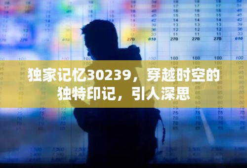 独家记忆30239，穿越时空的独特印记，引人深思
