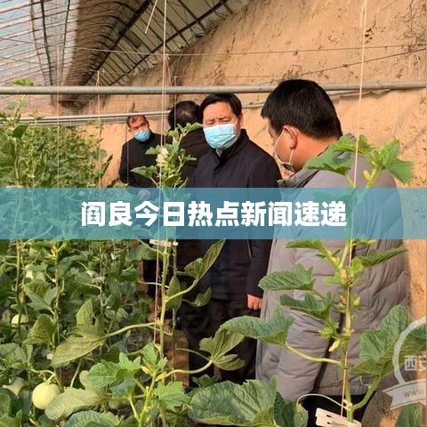阎良今日热点新闻速递
