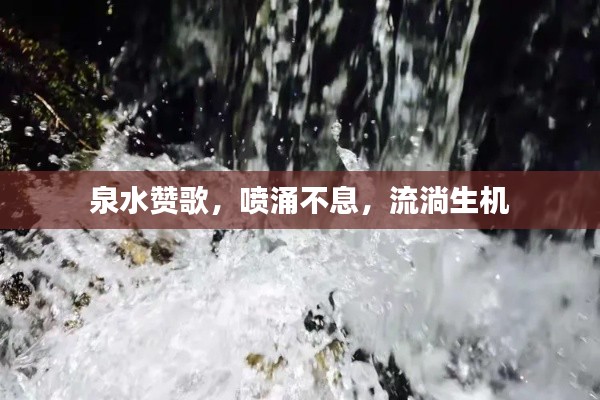 泉水赞歌，喷涌不息，流淌生机
