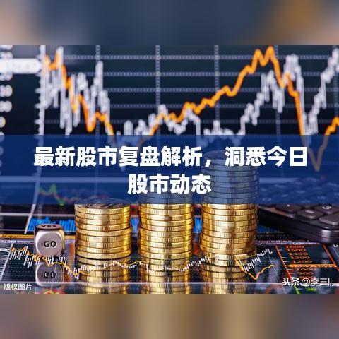 最新股市复盘解析，洞悉今日股市动态