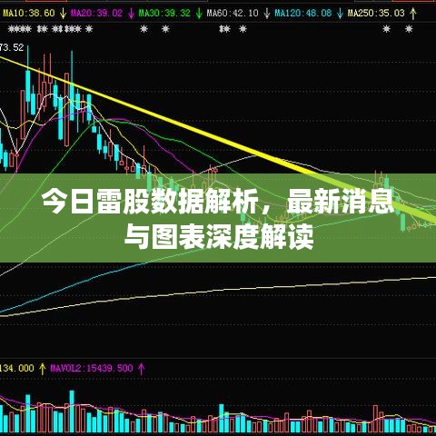 今日雷股数据解析，最新消息与图表深度解读