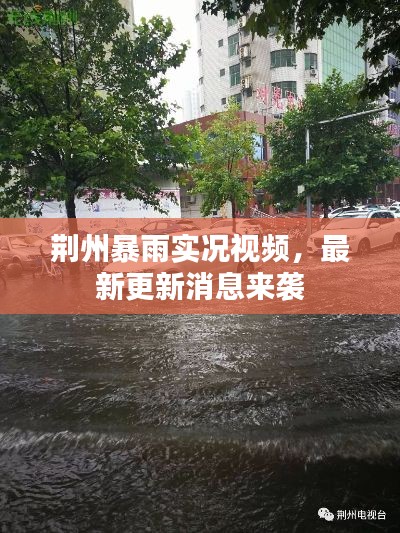 荆州暴雨实况视频，最新更新消息来袭