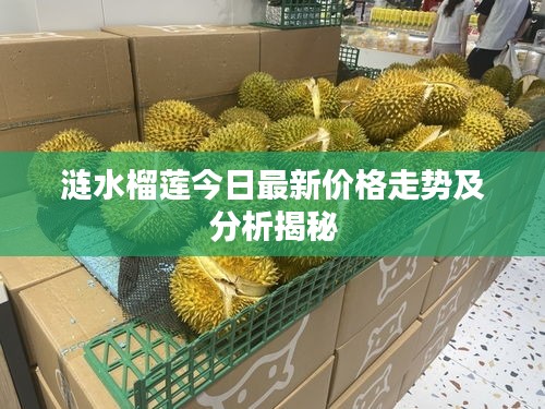 涟水榴莲今日最新价格走势及分析揭秘