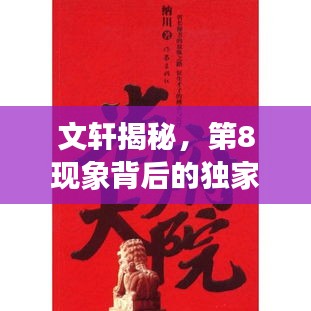 文轩揭秘，第8现象背后的独家故事