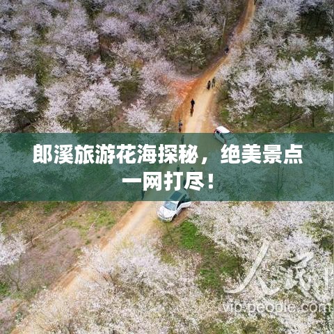 郎溪旅游花海探秘，绝美景点一网打尽！