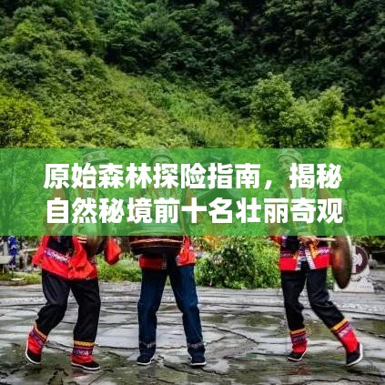 原始森林探险指南，揭秘自然秘境前十名壮丽奇观！